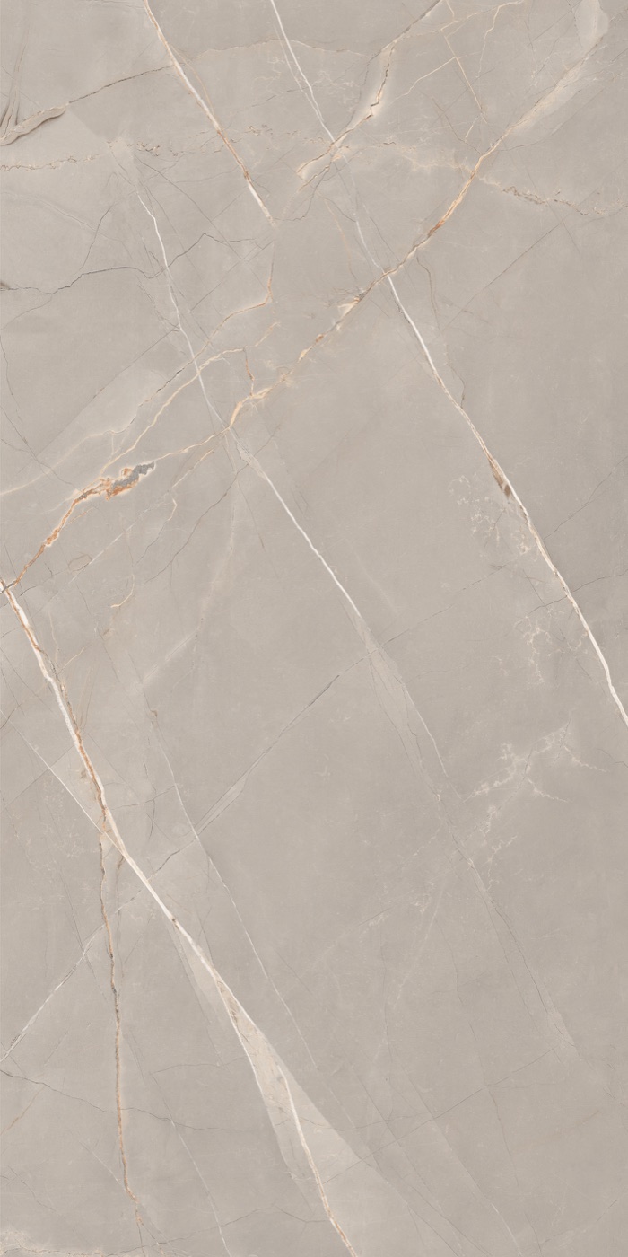 Ferro Grey 24 by 48 inch porcelain tile