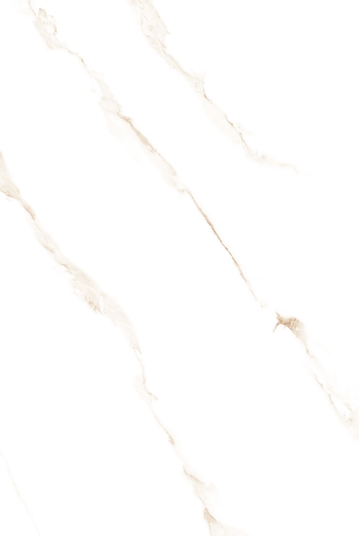 Silvagio Statuario Gold 48 by 72 inch porcelain tile
